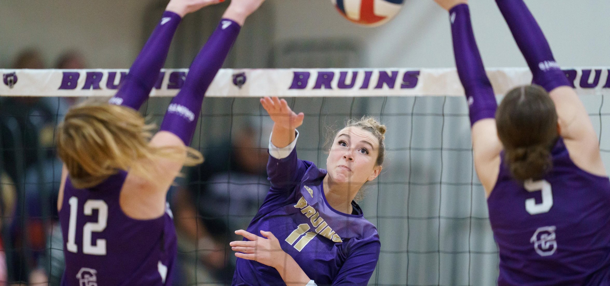 2024 AVCA NAIA All-Region Teams and Award Winners