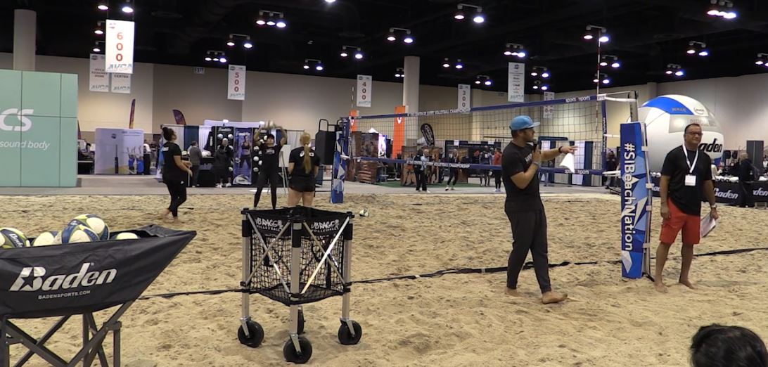 The Evolution of Hands on the Sand