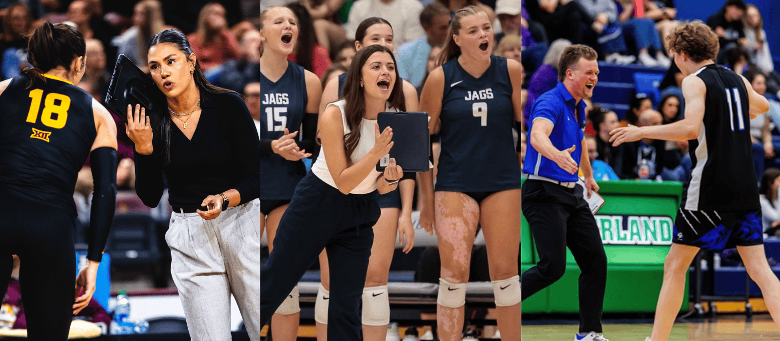 2025 AVCA Thirty Under 30 Award Winners