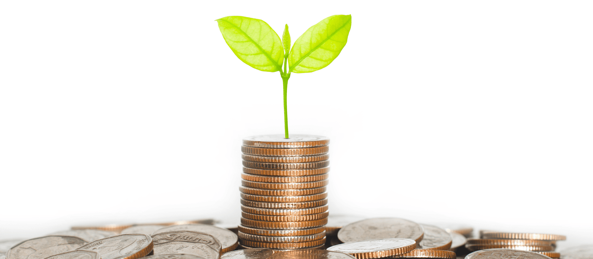 Fund Raising: Making yourself Relevant on your Campus