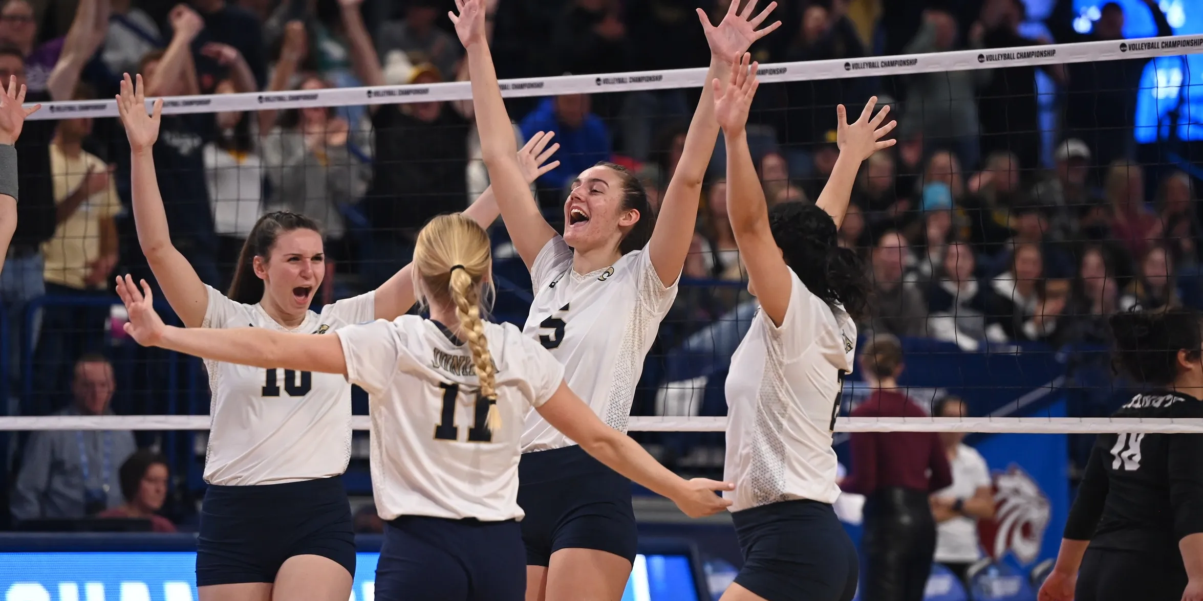Juniata volleyball celebrating