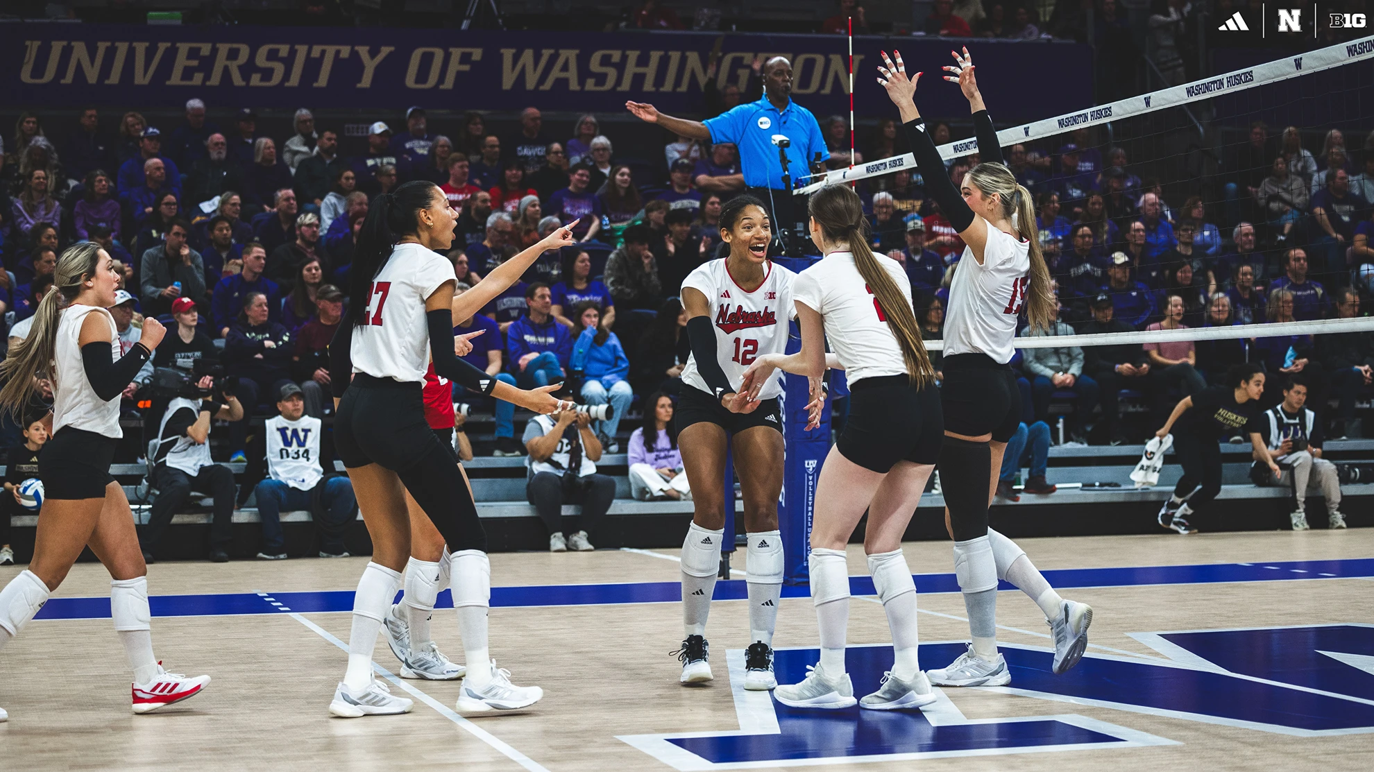 At the Net: November 13, 2024